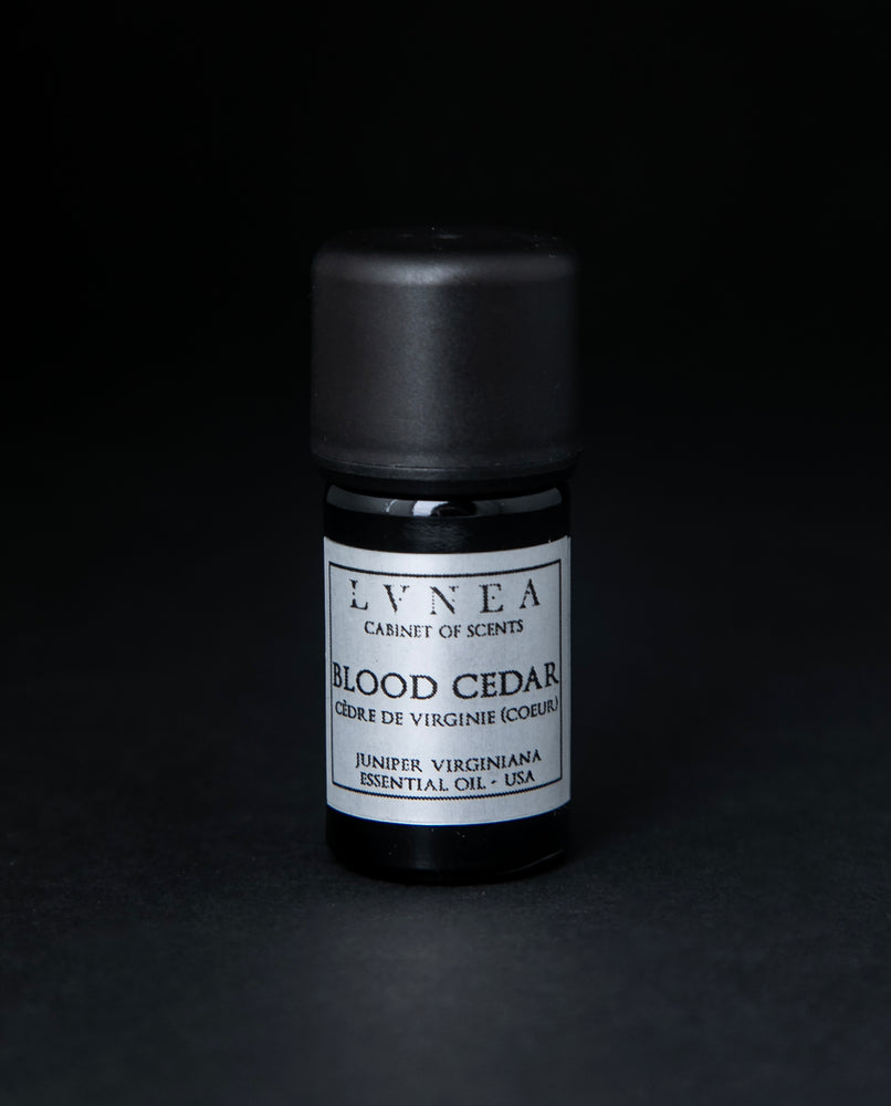 CEDARWOOD, BLOOD | Essential Oil