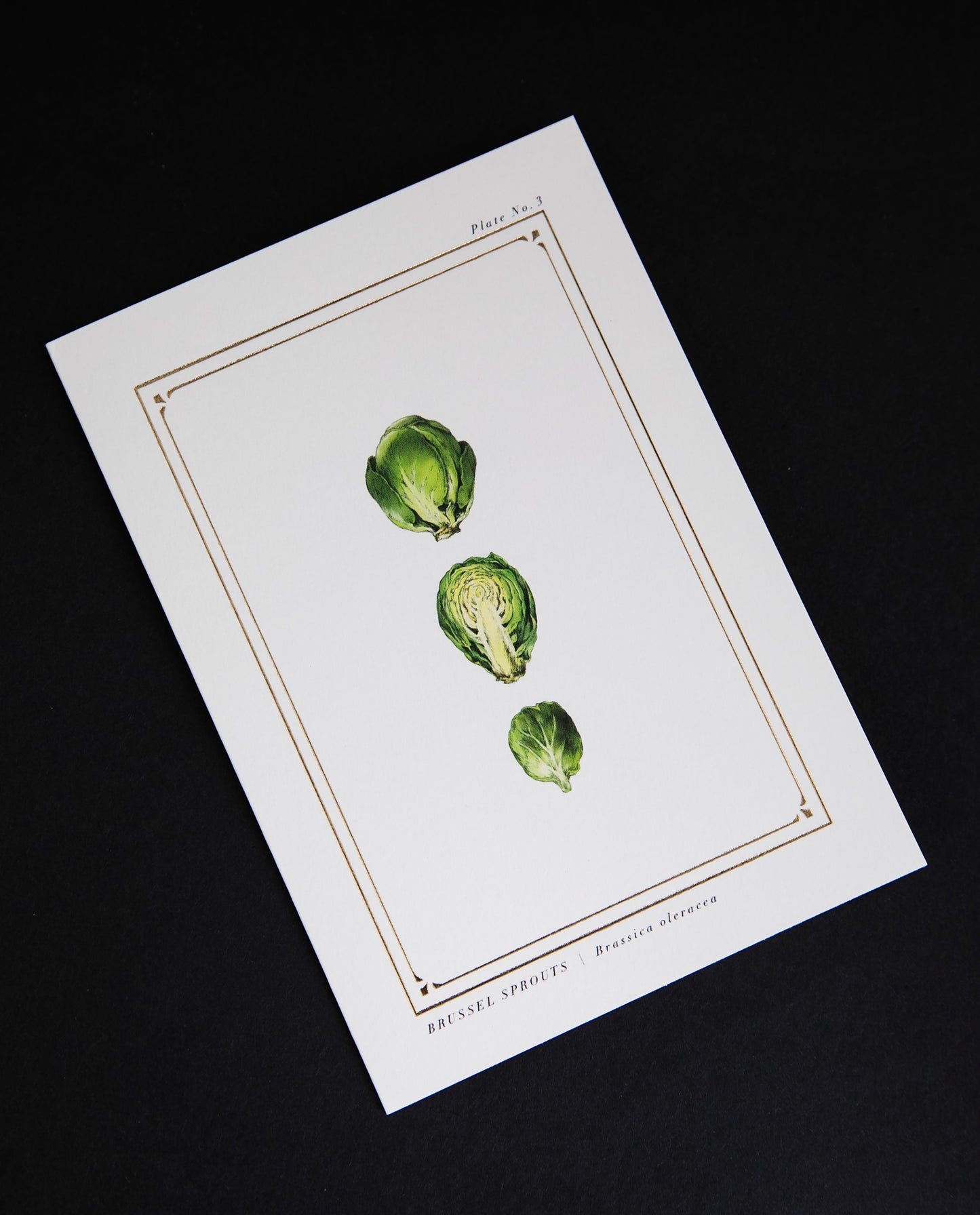 Cream-coloured greeting card with gold foil and illustration of brussel sprouts
