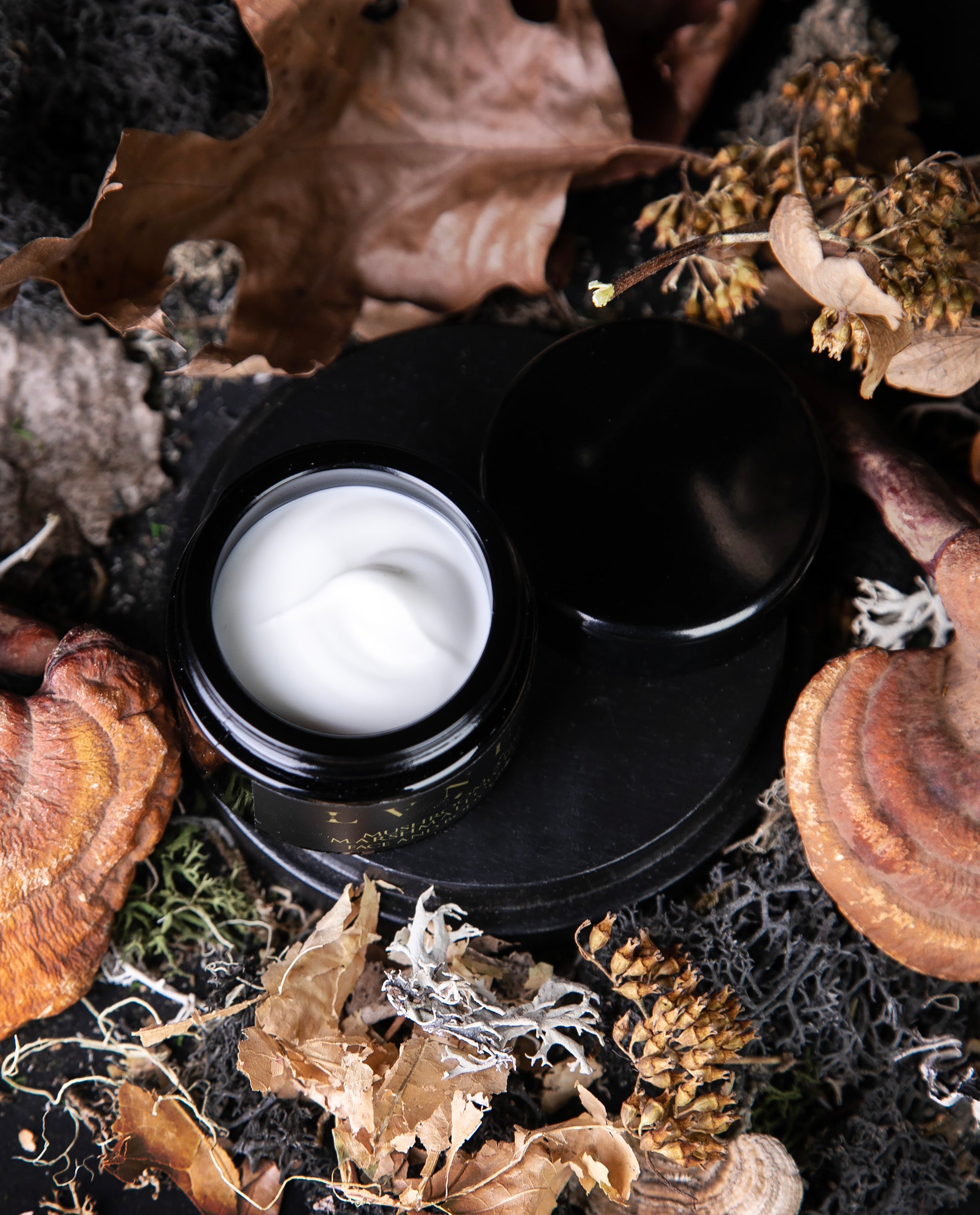花蔵　TELOME LAMERE RICH CREAM PREMIUM 30g MUSHROOM AND MARSHMALLOW ROOT | Botanical Face and Body Cream