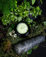 Close up of an open black glass jar of LVNEA's Crème Chartreuse, surrounded by greenery and a stone mortar and pestle.
