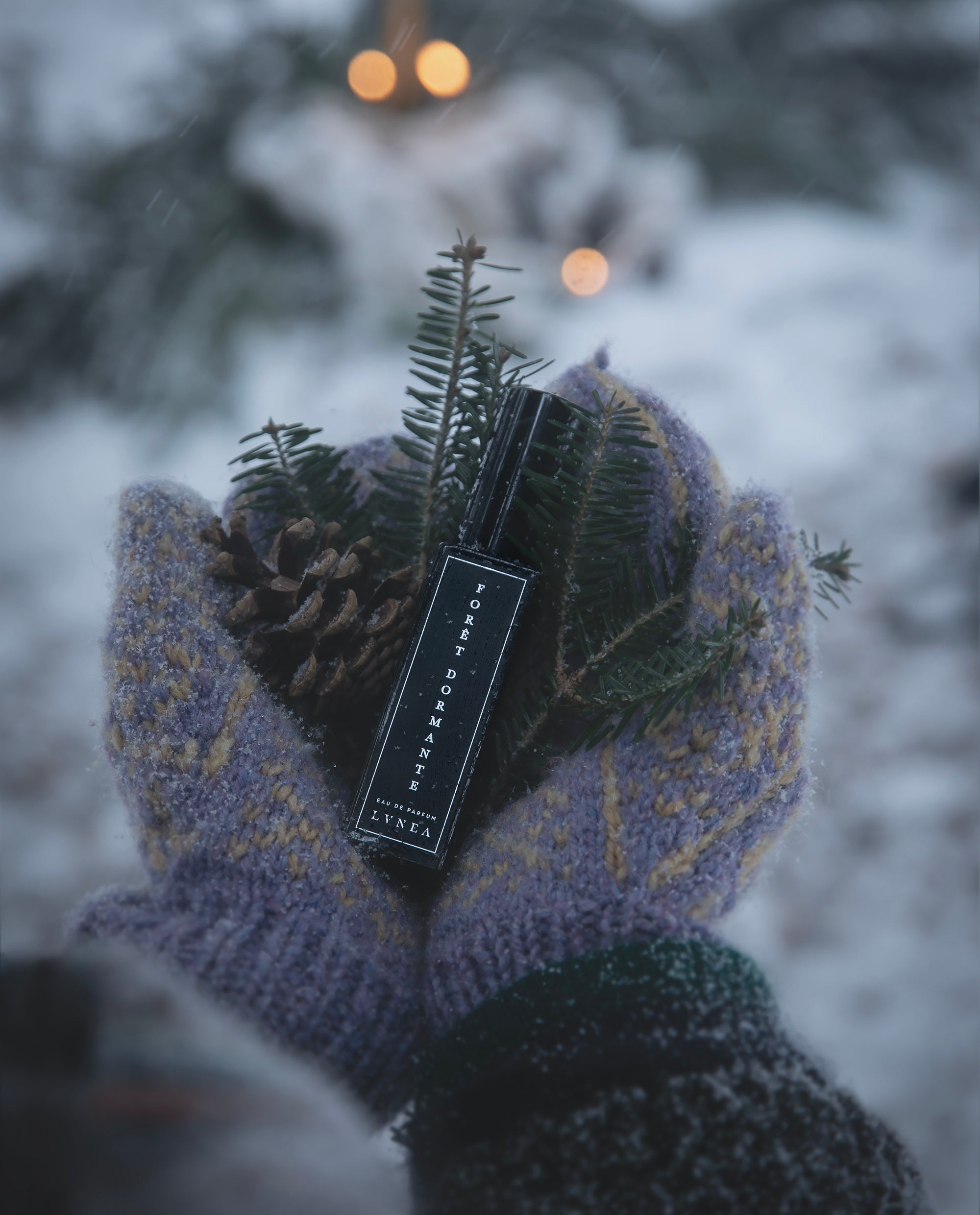 An d c v ec, image size:2000x2480