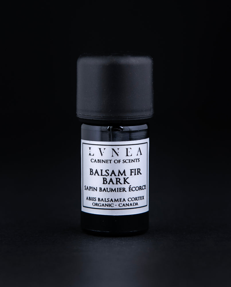 5ml black glass bottle of Balsam Fir Bark essential oil against black background