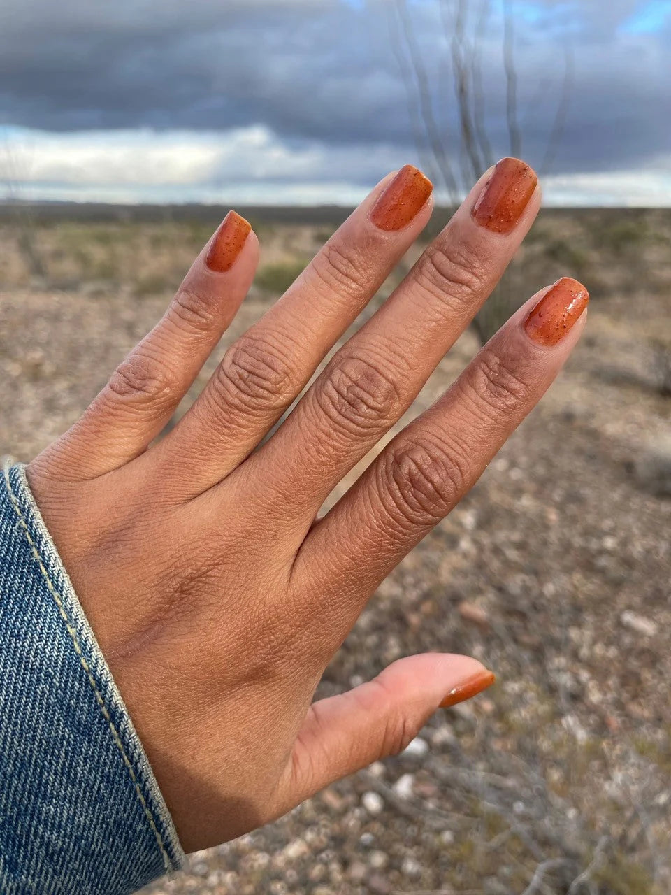 Hand with orange brown nail polish against a blurred natural background