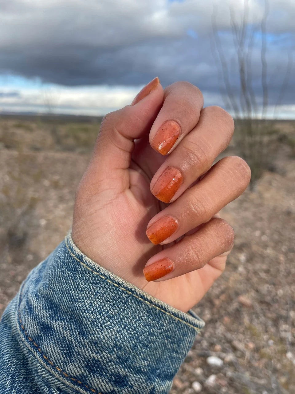 Hand with orange brown nail polish against a blurred natural background