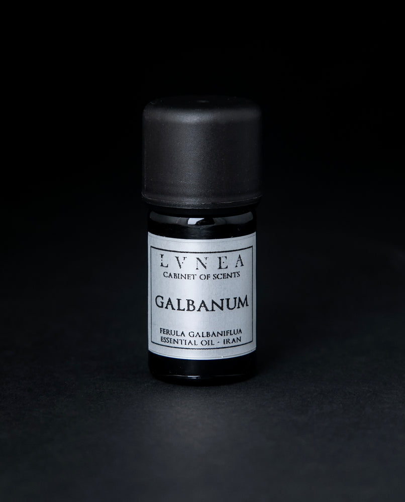 GALBANUM | Essential Oil