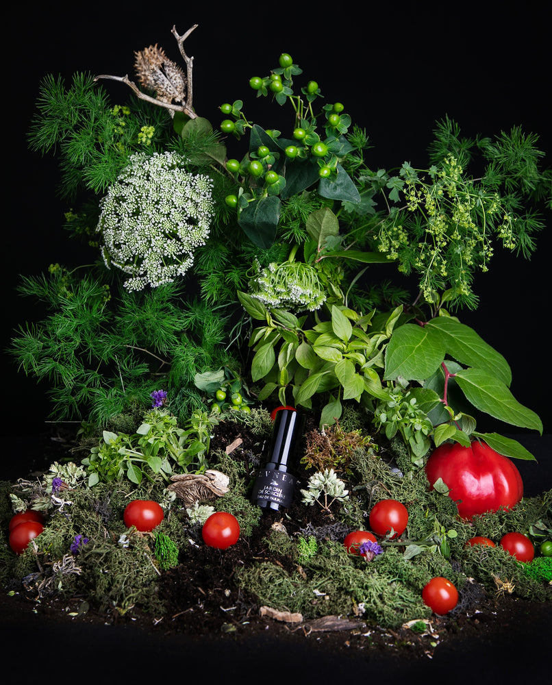 Black glass bottle of LVNEA's limited edition Jardin de Sorcière eau de parfum nestled in dirt, surrounded by tomatoes, fresh herbs, and greenery.