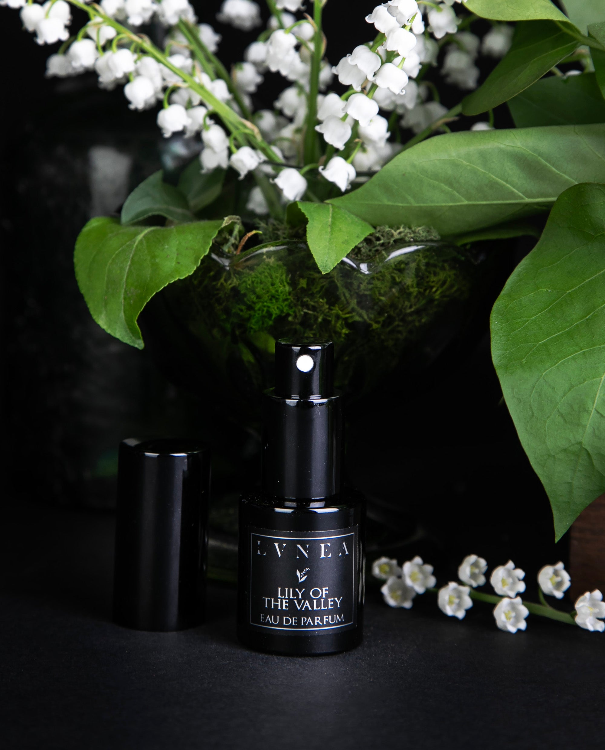 RU-6130　 LILY OF THE VALLEY オードトワレ　100ml Amazon.com: Yves Rocher Lily of the Valley Eau de Toilette