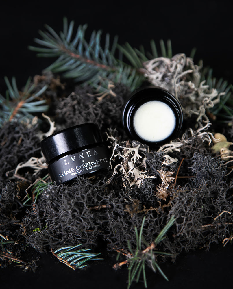 A botanical lip butter made by LVNEA and housed in a black 5g glass pot against a black backdrop. The label reads "LUNE D'ÉPINETTE" on it in silver. 