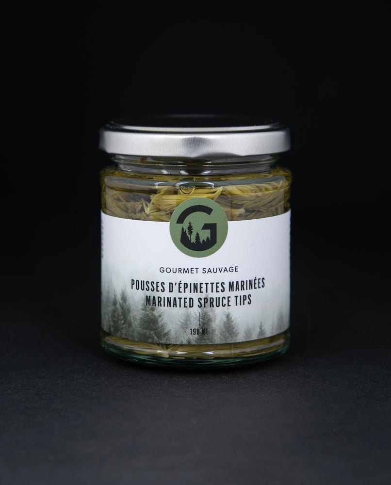 Marinated Spruce Tips | GOURMET SAUVAGE