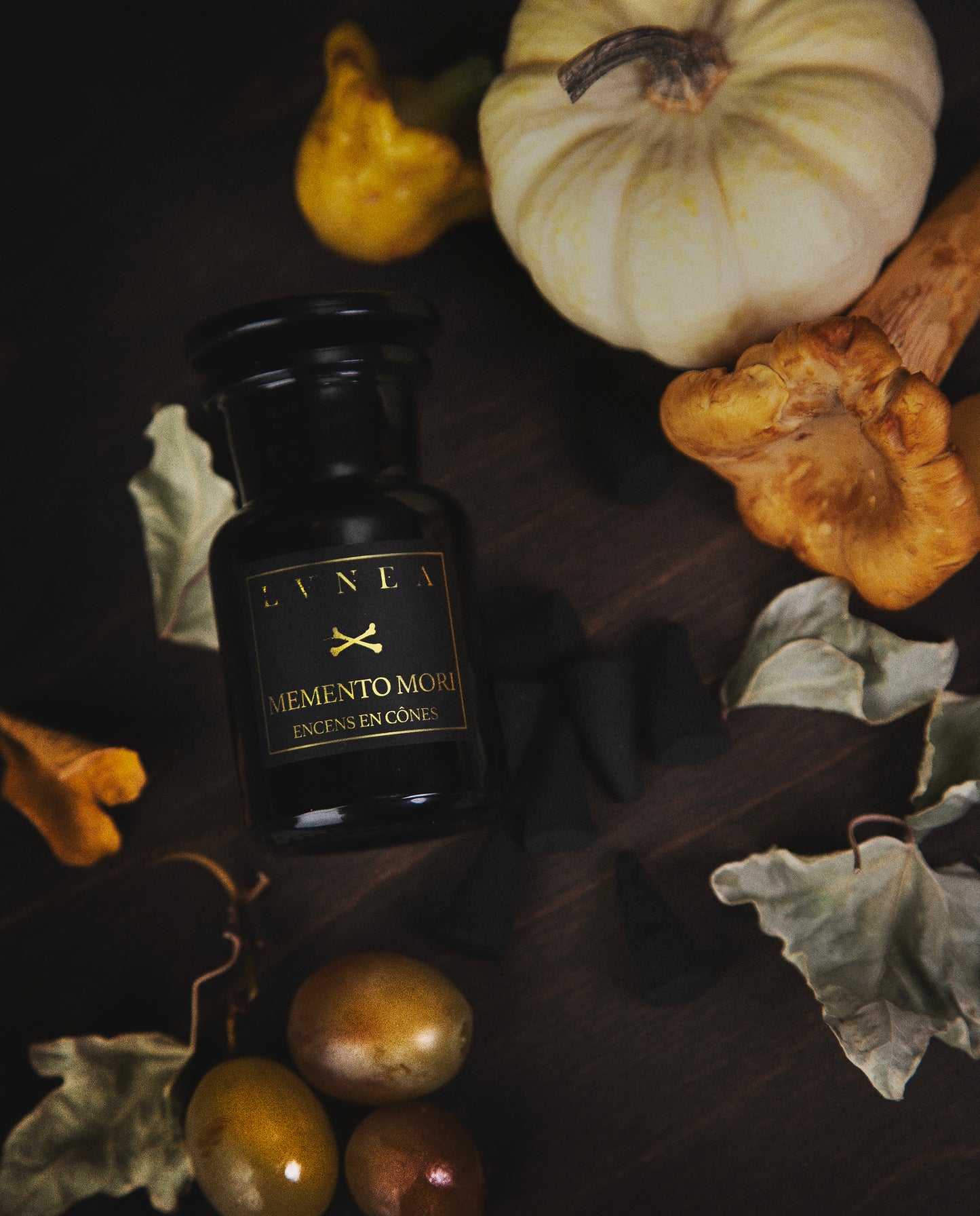 Still Life With... | Limited Edition Fall Seasonal Box
