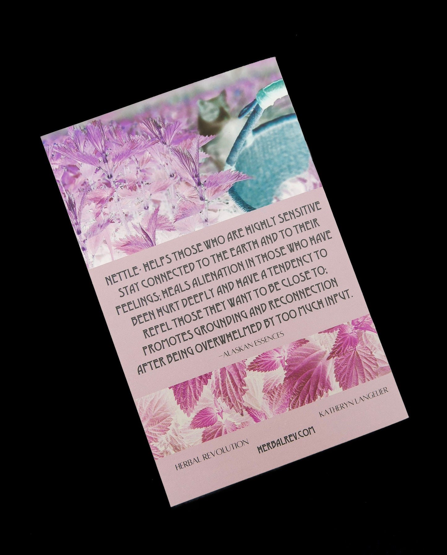 Back view of Herbal Revolution's