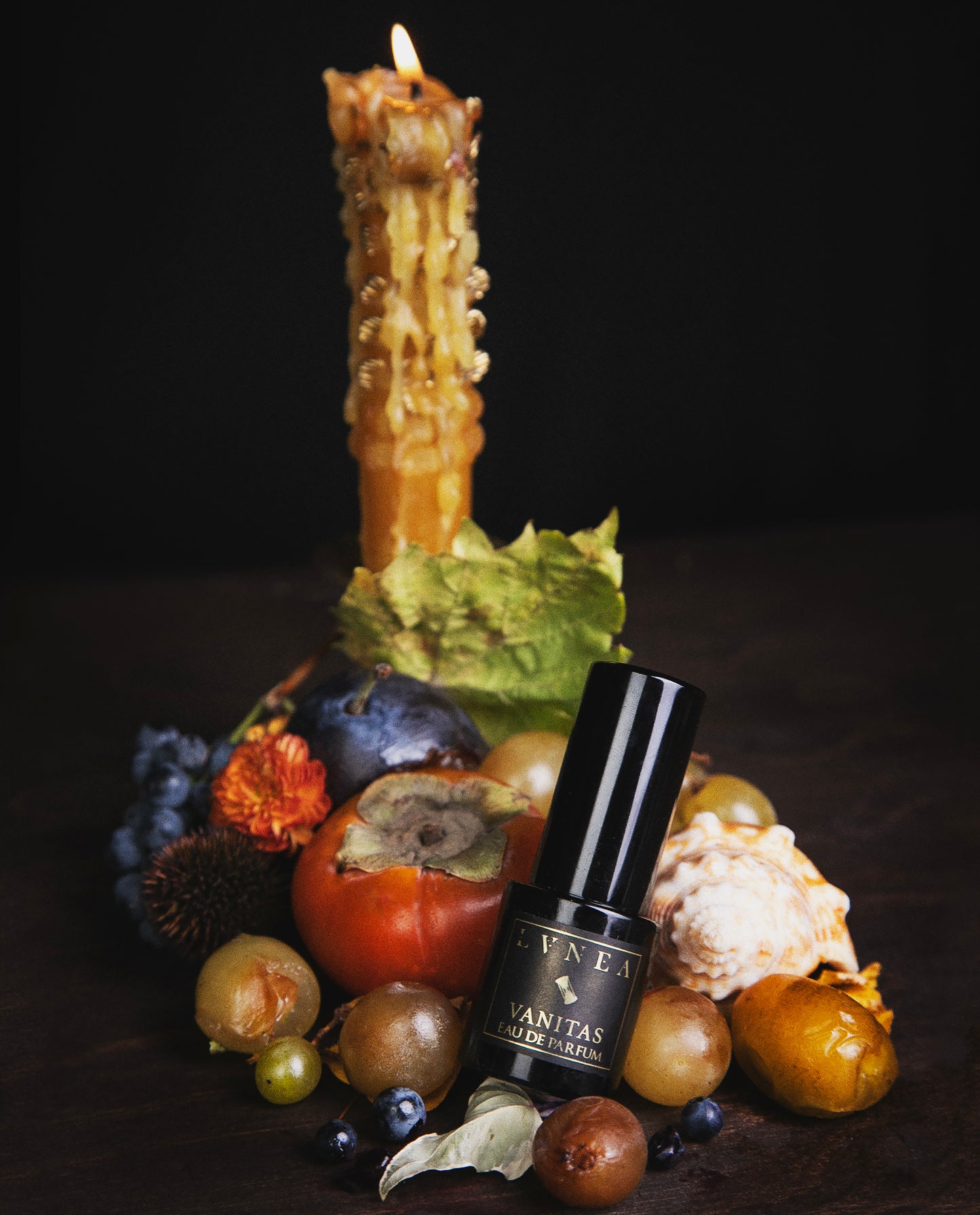 Vanitas limited edition black perfume bottle with decorative fruits and a candle on a dark background