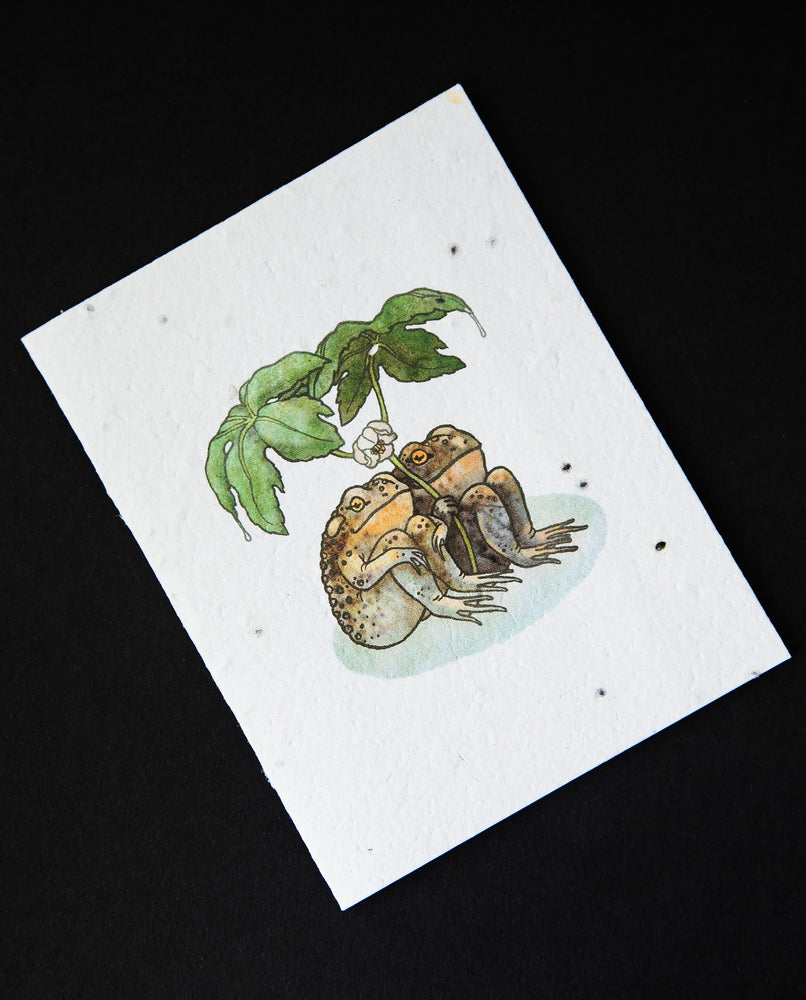 Two Toads Together Plantable Card | SMALL VICTORIES