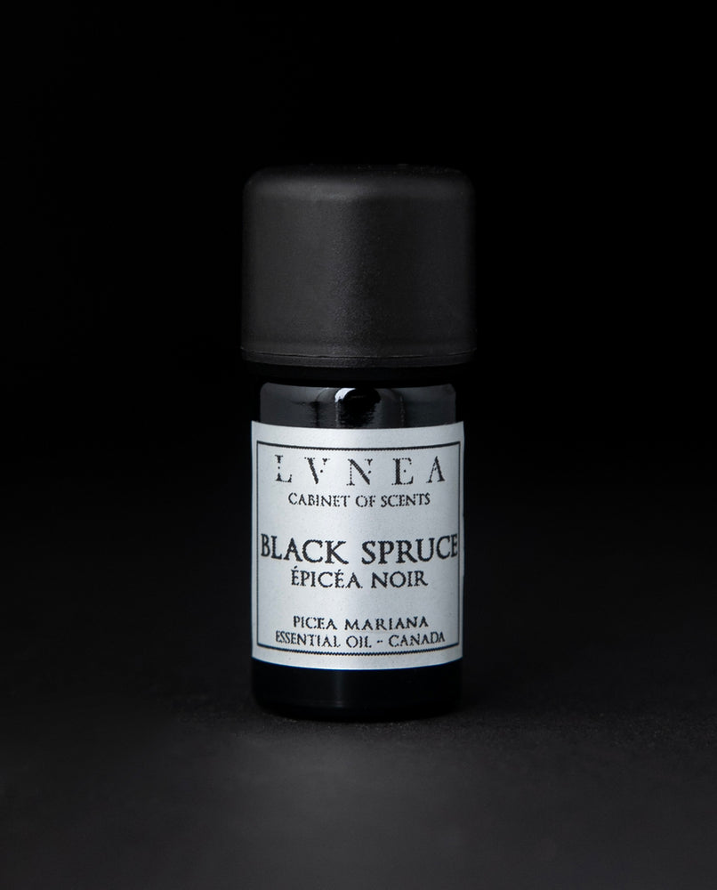 SPRUCE, BLACK | Essential Oil