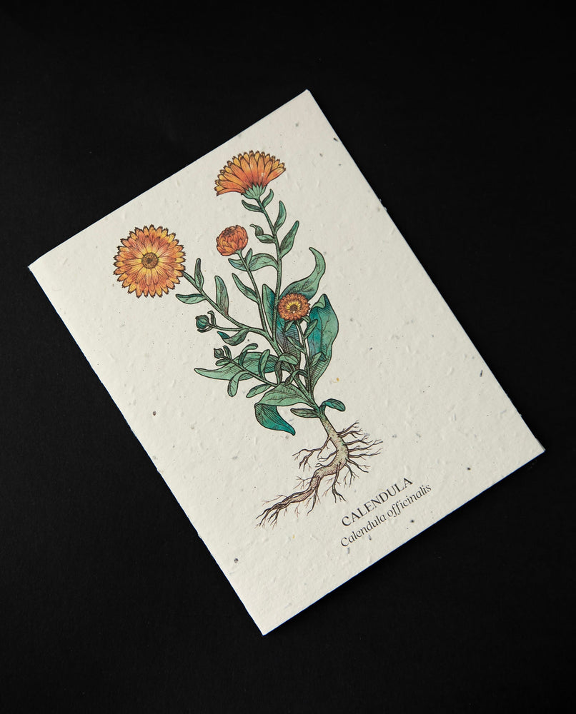 Calendula Plantable Card | SMALL VICTORIES