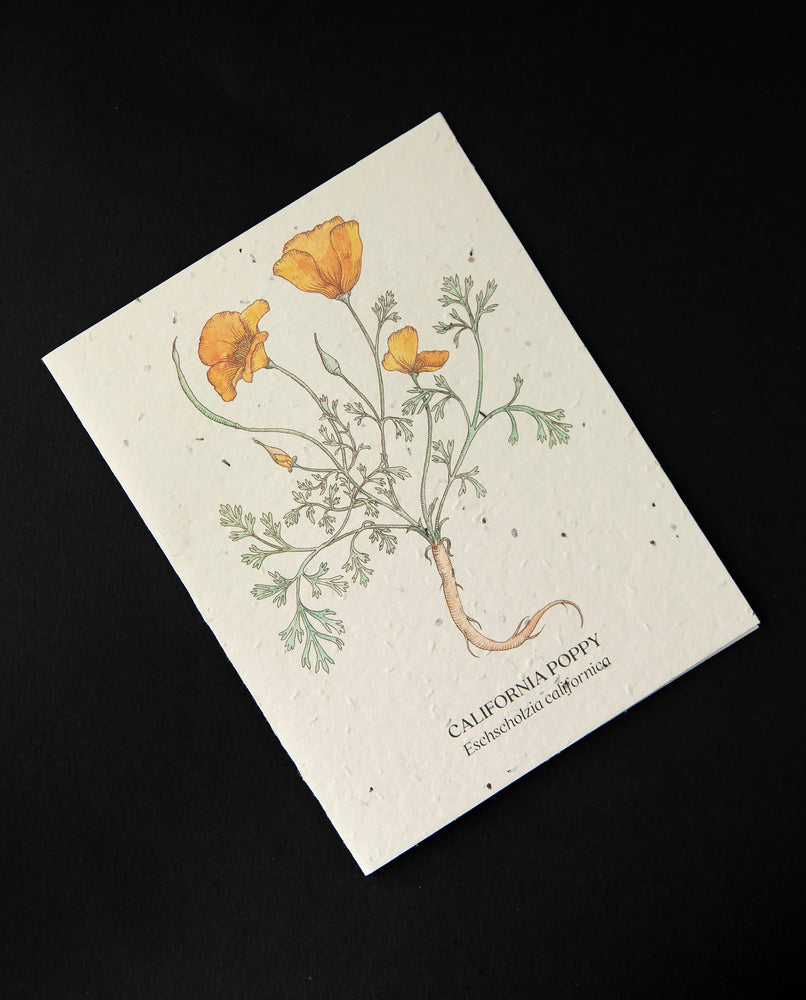 California Poppy Plantable Card | SMALL VICTORIES