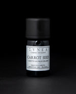 CARROT SEED | Essential Oil