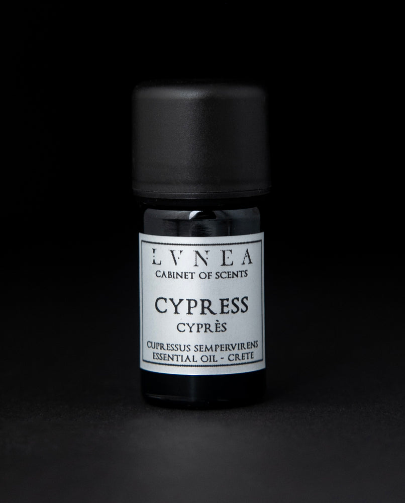 CYPRESS | Essential Oil