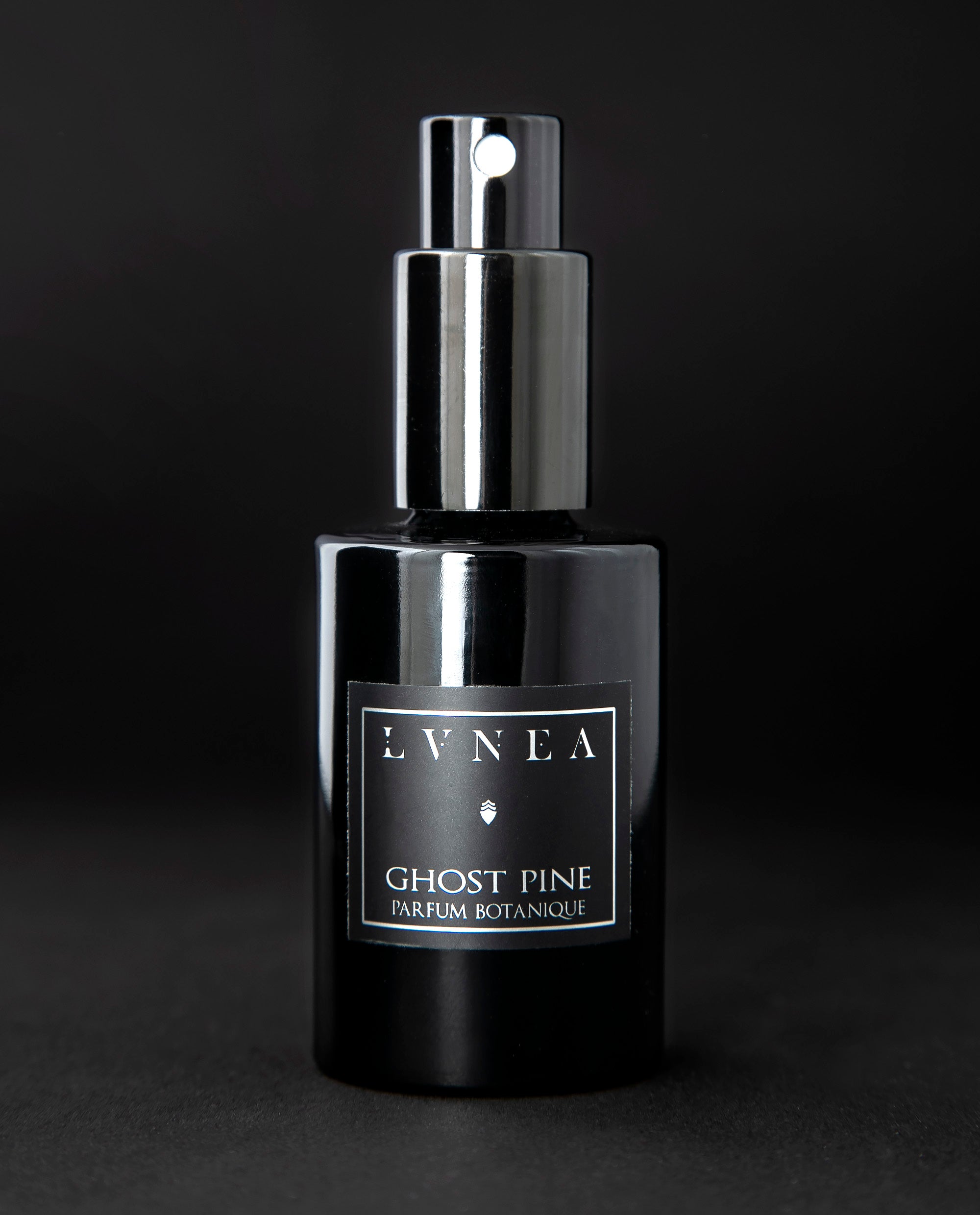 GHOST PINE Eau de Parfum pine needles, boreal foliage, moss