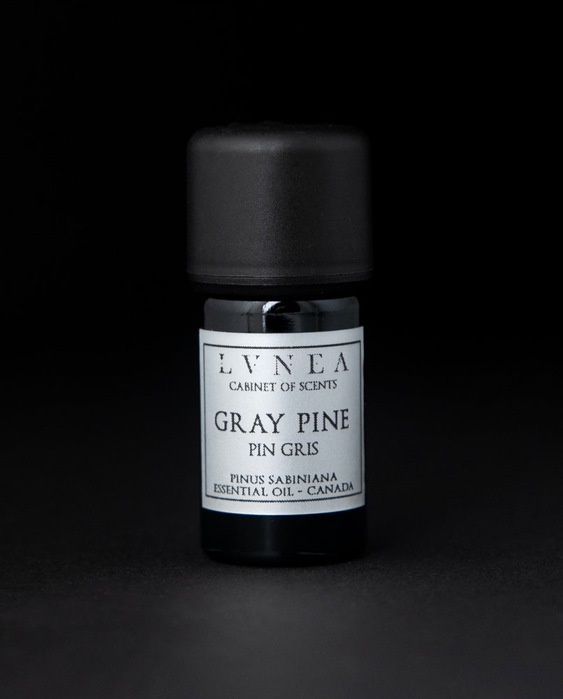 PINE, GRAY | Essential Oil