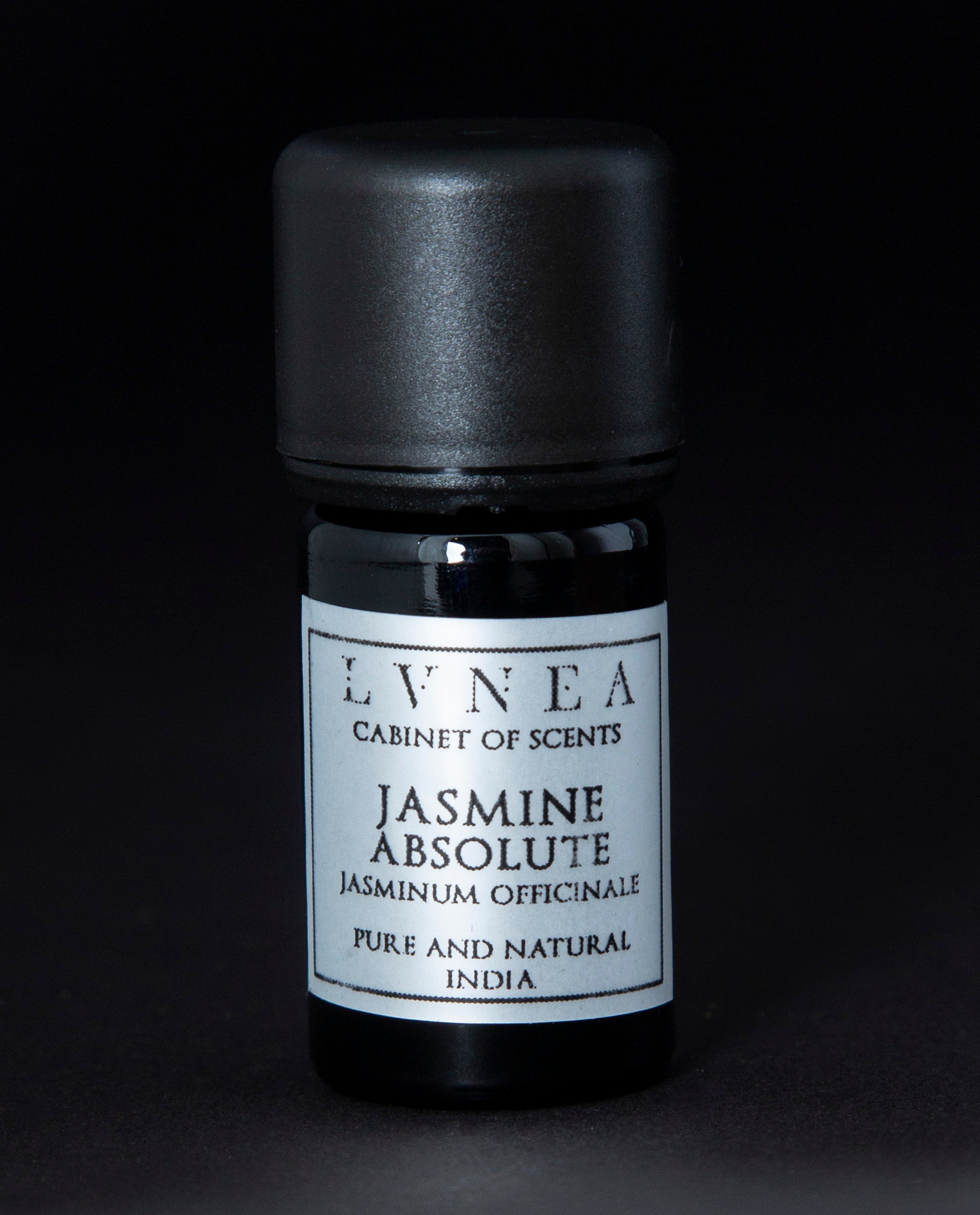 JASMINE | Absolute
