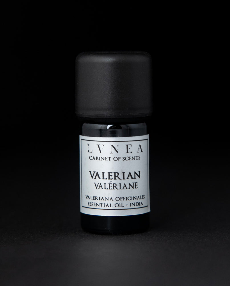 VALERIAN | Essential Oil