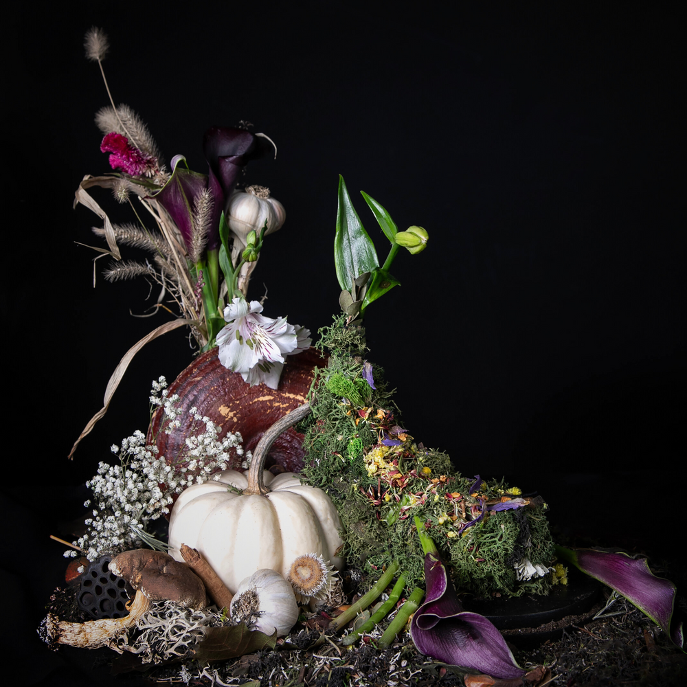 Olfactory Allies and Fragrant Talismans for Scorpio Season