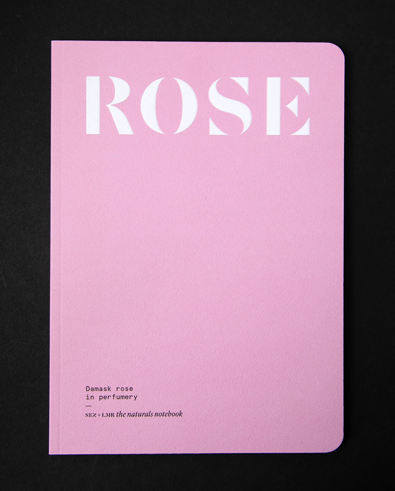 Damask Rose in Perfumery (English) | NEZ ÉDITIONS