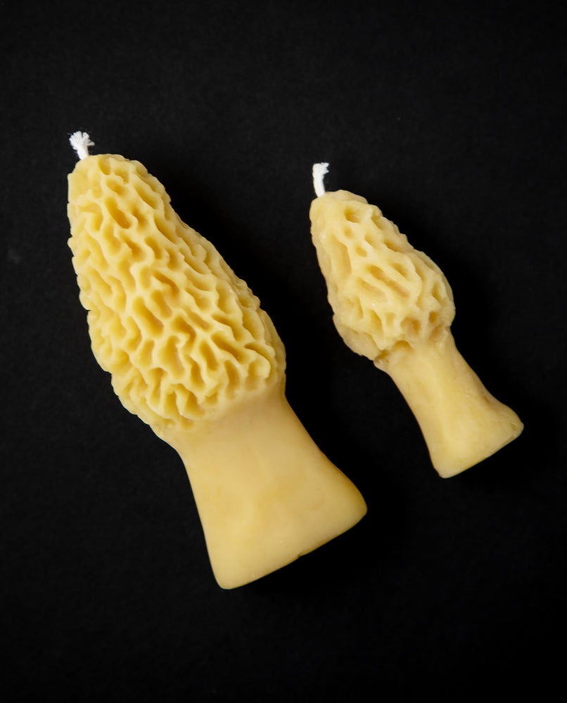 Two golden beeswax candles shaped like morel mushrooms lying side by side on a black backdrop. One is 4.5" tall, the other is 3" tall.