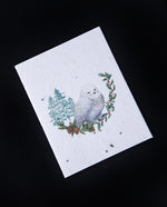 Winter Snowy Owl Plantable Card | SMALL VICTORIES