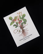 Woodland Strawberry Plantable Card | SMALL VICTORIES