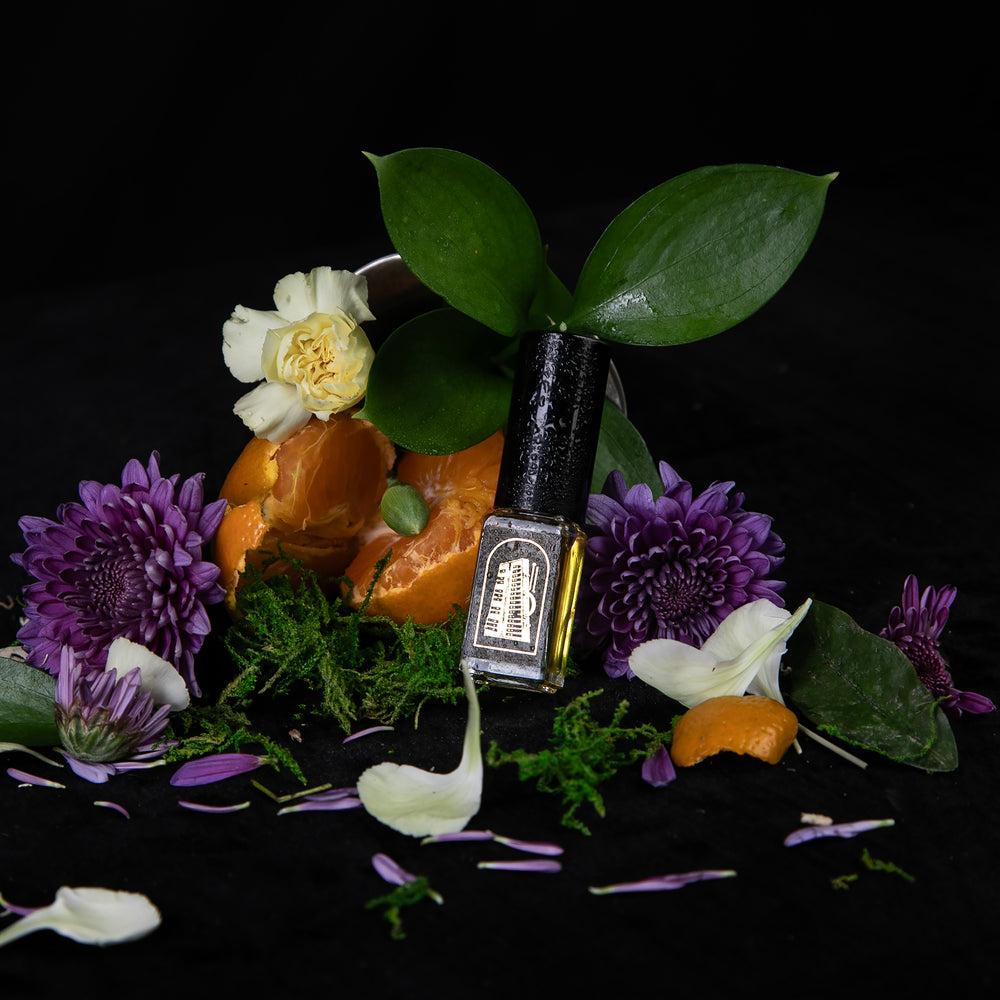 
                      
                        FORÊT AUX INSTRUMENTS: Une Symphonie d'Odeurs | Limited Edition Box Set
                      
                    