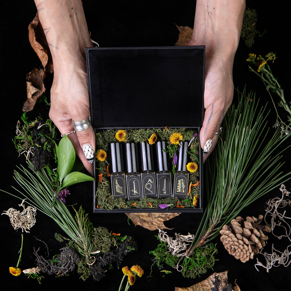 FORÊT AUX INSTRUMENTS: Une Symphonie d'Odeurs | Limited Edition Box Set