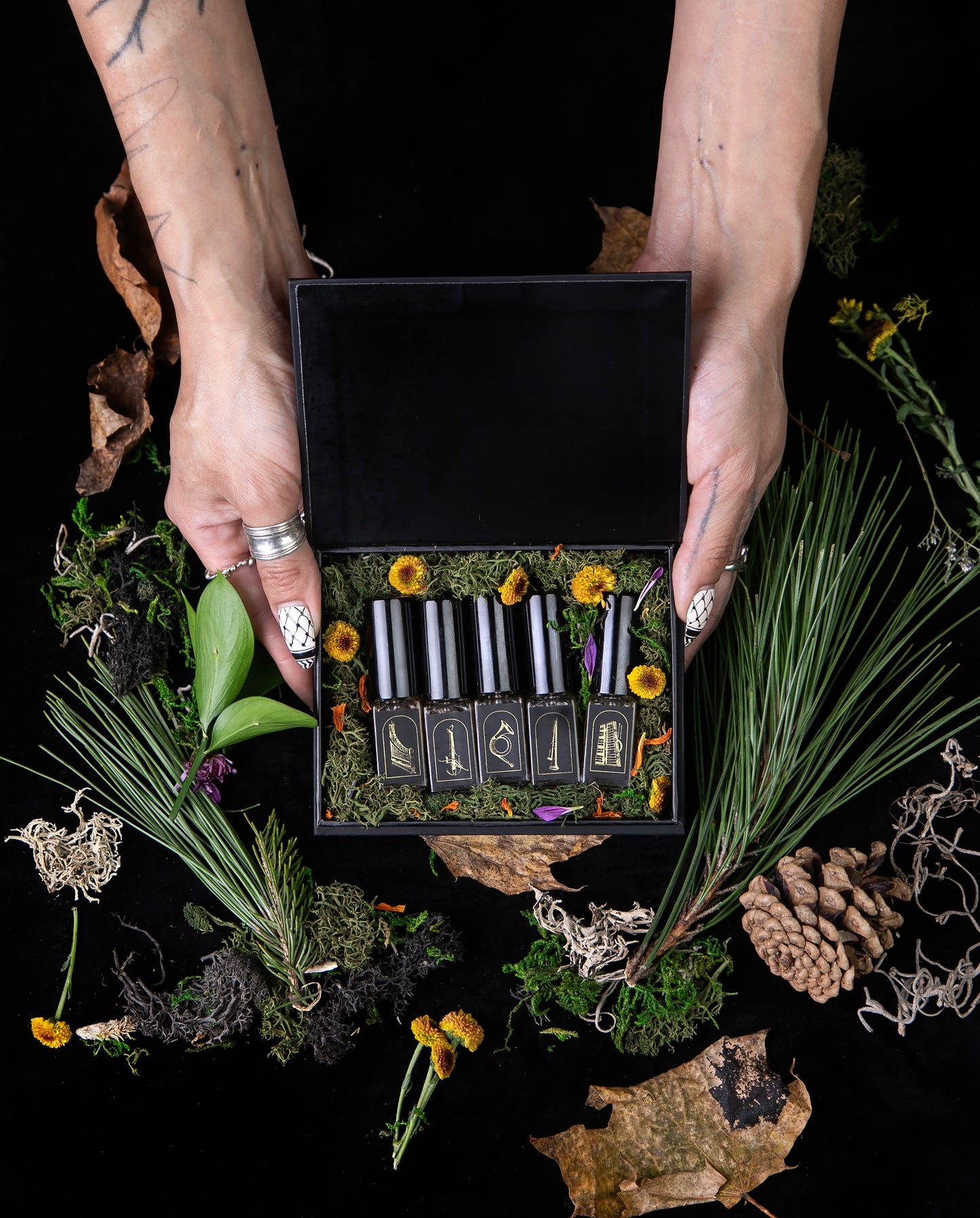 FORÊT AUX INSTRUMENTS: Une Symphonie d'Odeurs | Limited Edition Box Set