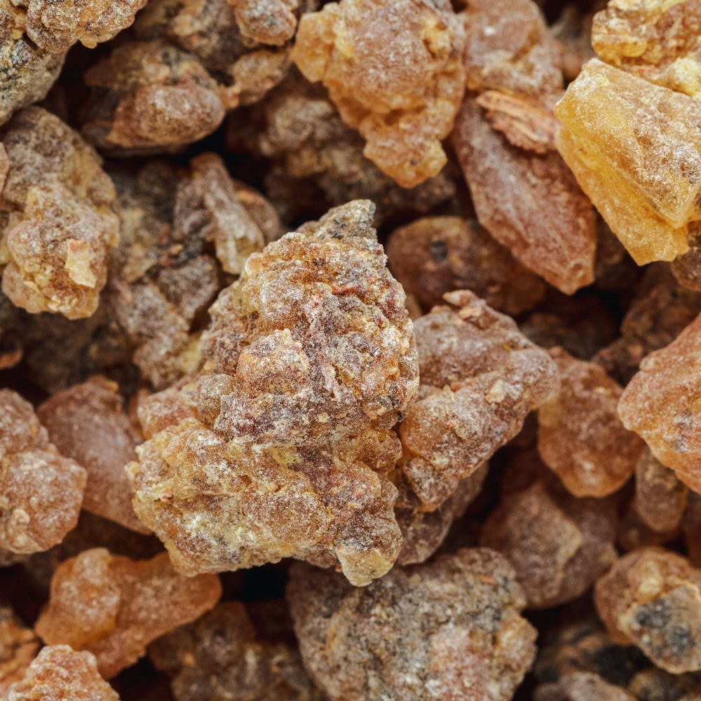 BENZOIN | Oleoresin