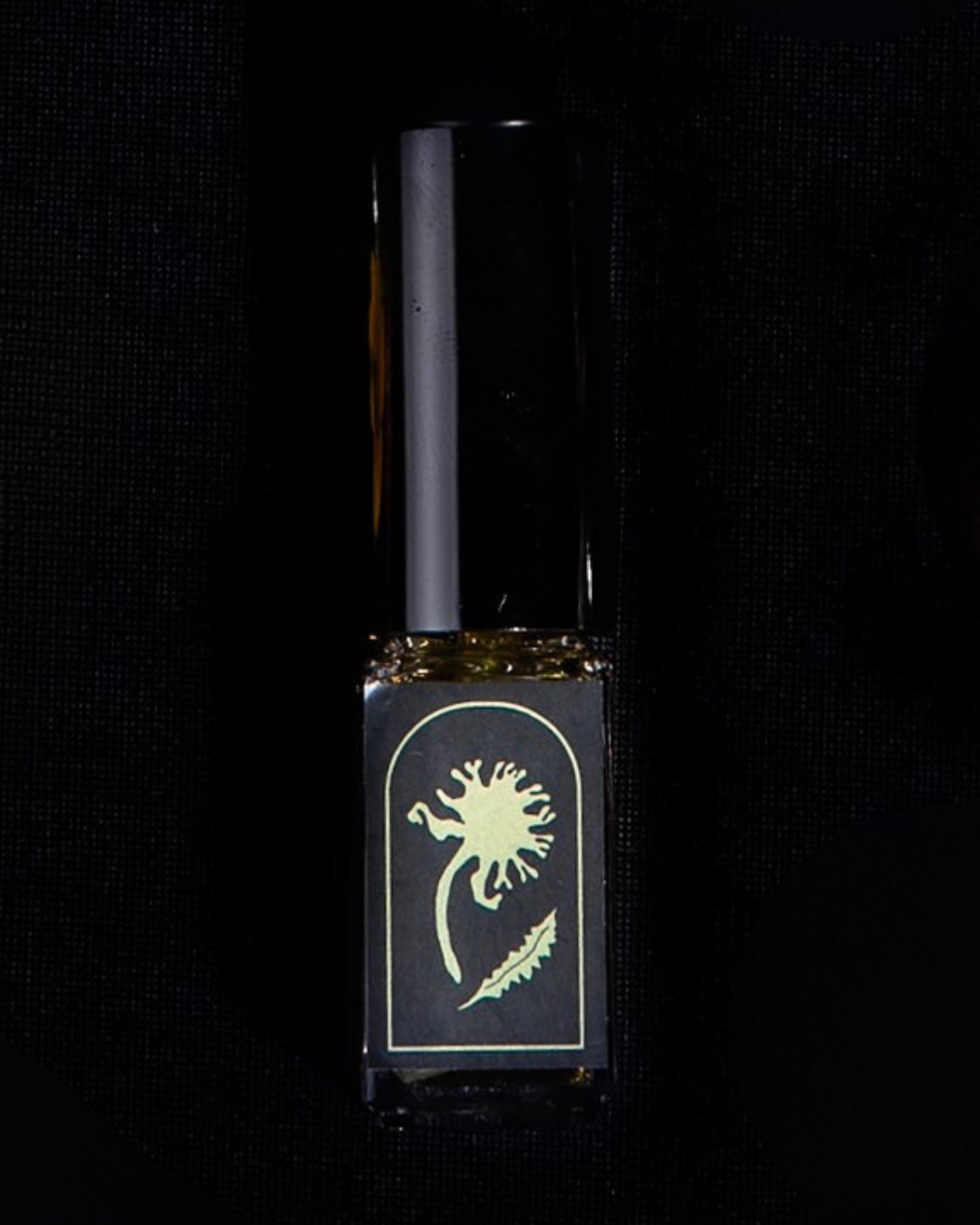 DANDELION | The Language of Flowers - Single Stem