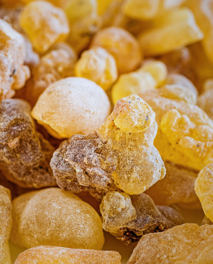 close up of frankincense resin nuggets