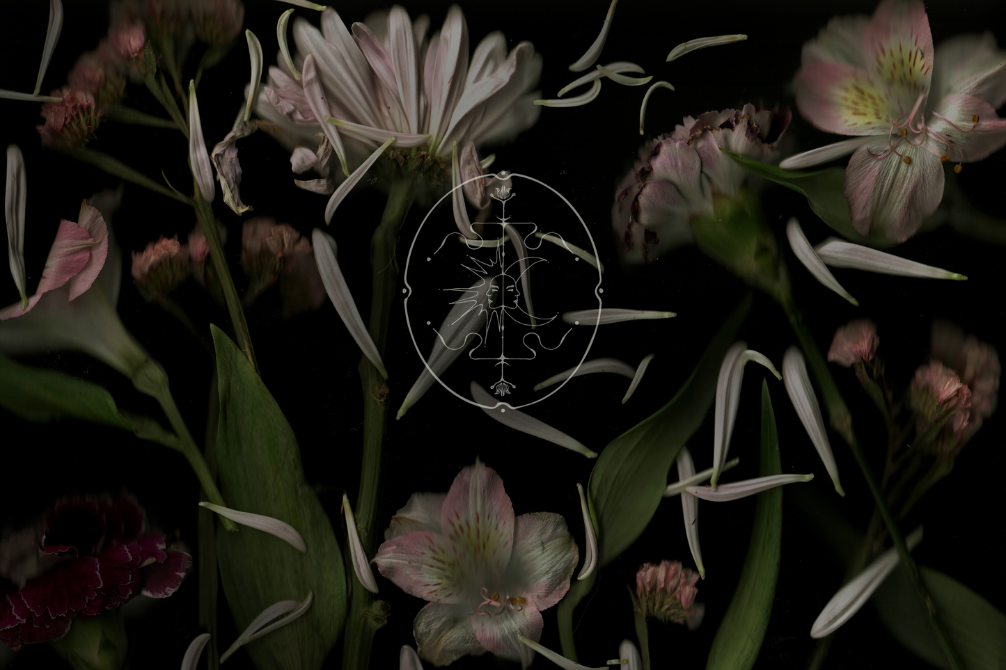 Lvnea Perfume