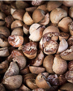 close up of whole nutmeg
