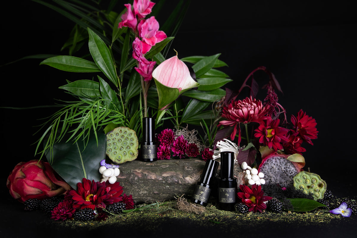 Lvnea Perfume