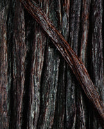 VANILLA OLEORESIN | Pure Plant Extract