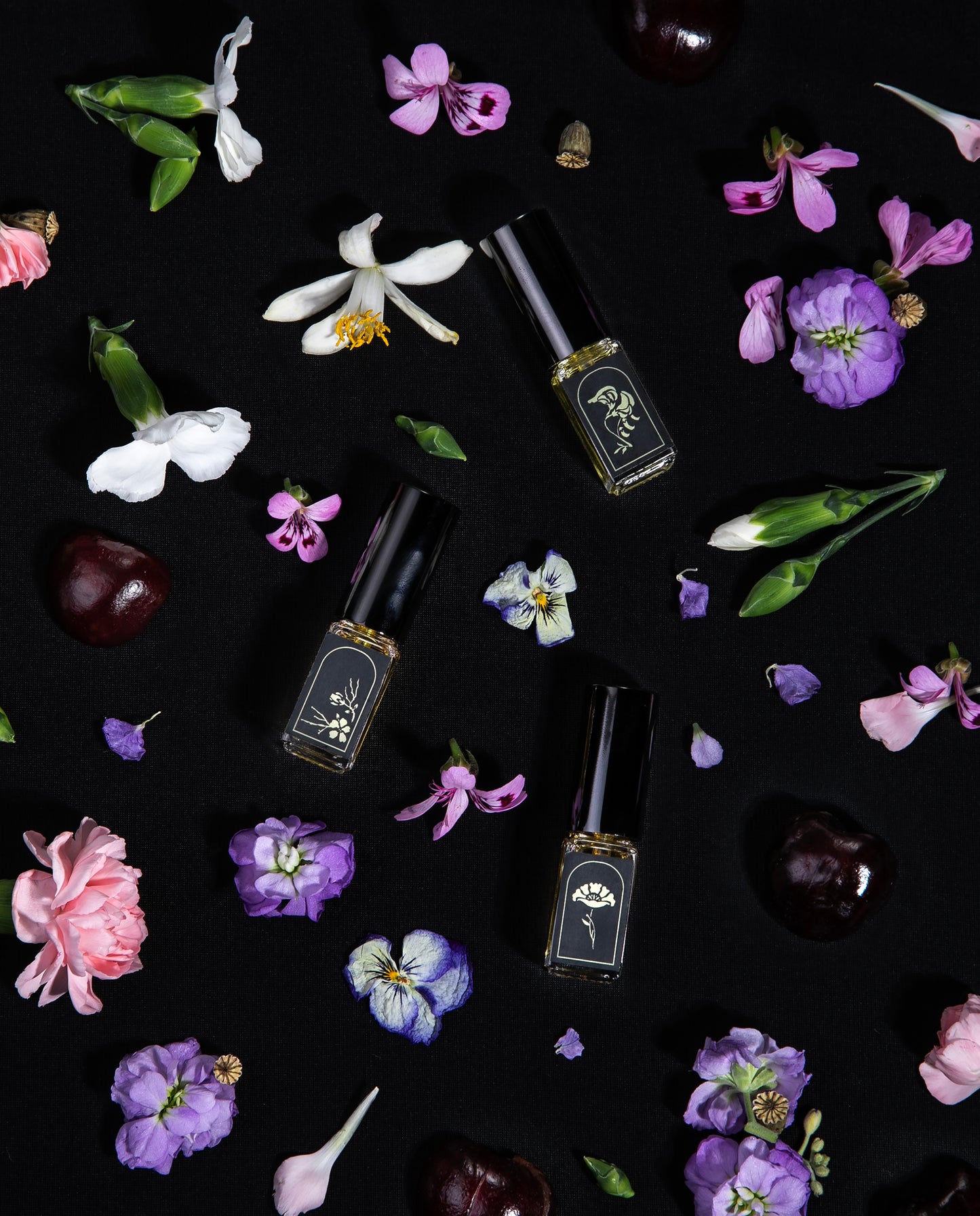 SWEET PEA | The Language of Flowers - Single Stem