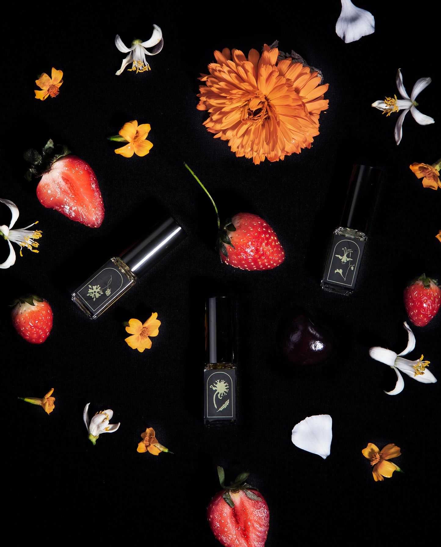 STRAWBERRY FLOWER | The Language of Flowers - Single Stem