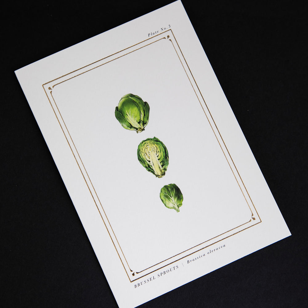 Cream-coloured greeting card with gold foil and illustration of brussel sprouts
