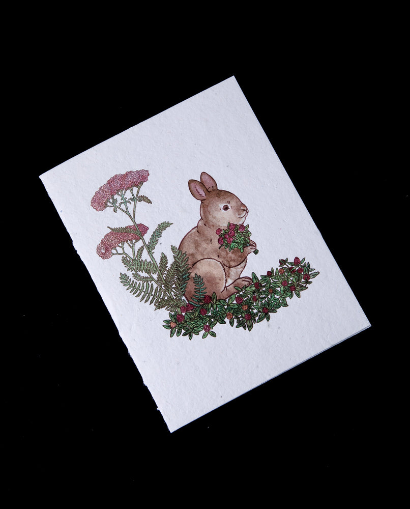 Rabbit Gathering Herbs Plantable Card | SMALL VICTORIES