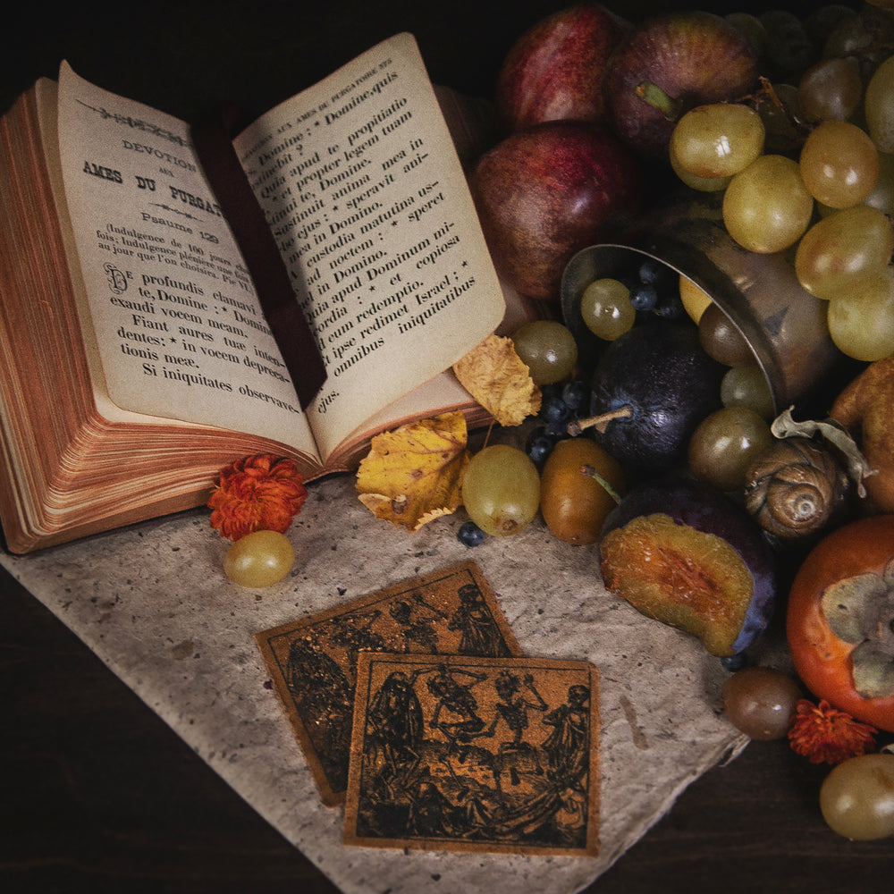 
                      
                        Still Life With... | Limited Edition Fall Seasonal Box
                      
                    