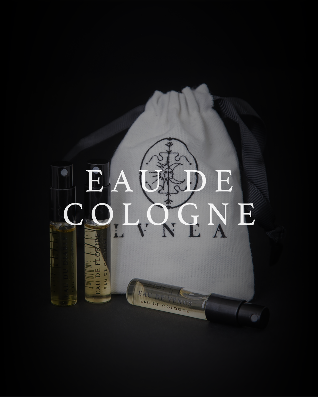 Lvnea Perfume