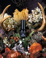 DEER MOTHER | Limited Return Eau de Parfum | cedarwood, fir balsam, cypress