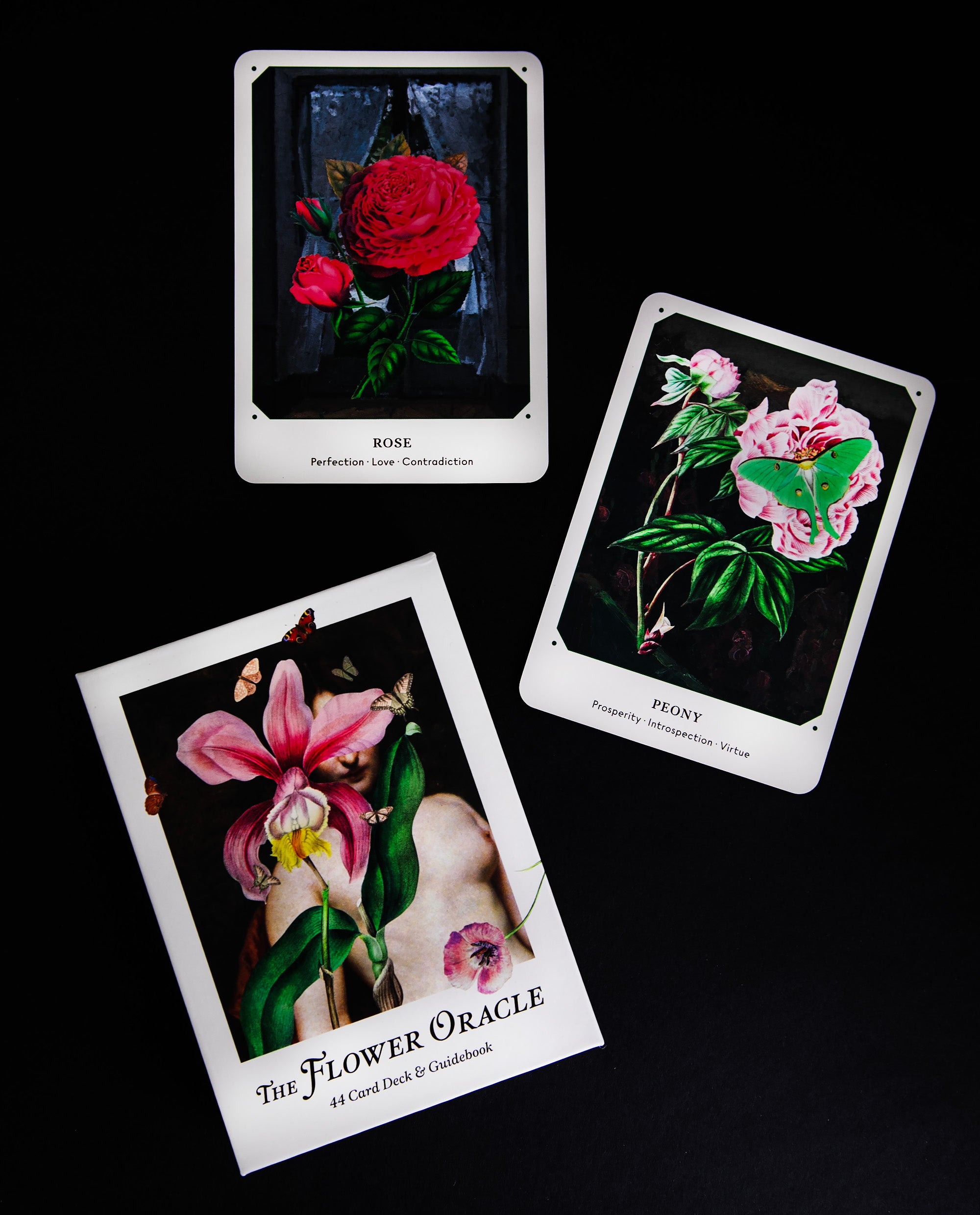 The Flower Oracle Deck | BROCCOLI