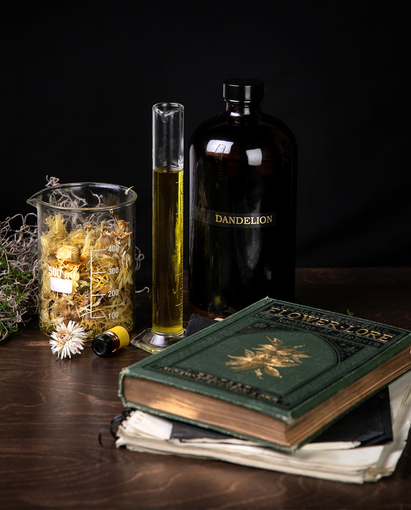 DANDELION | The Language of Flowers - Single Stem